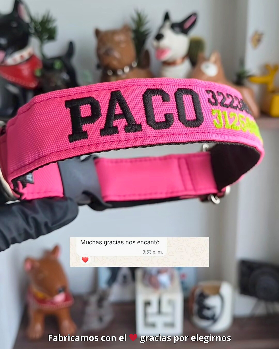 testimonio collar